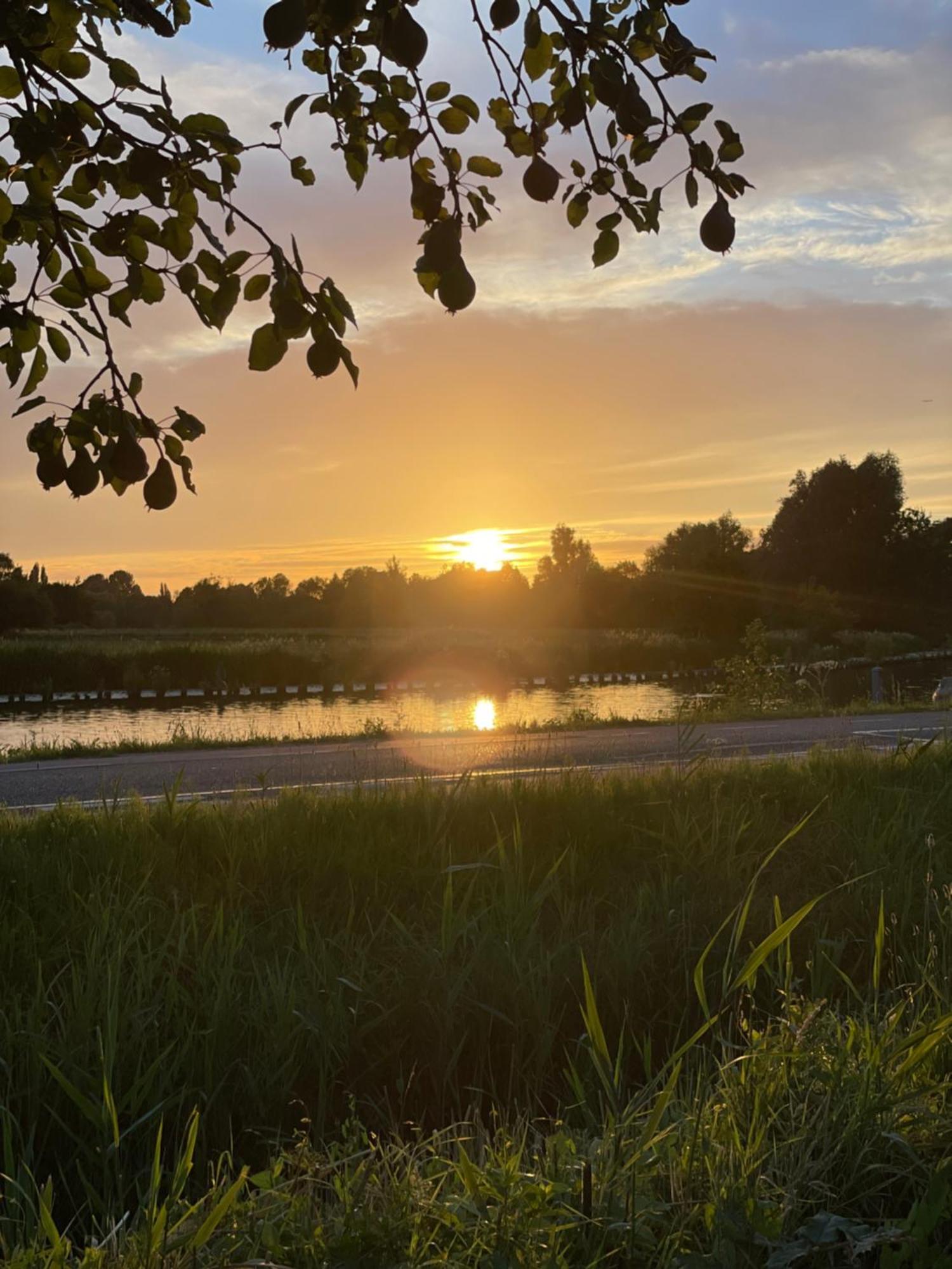 Bed & Breakfast Geesberge Maarssen Zewnętrze zdjęcie